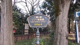 【ダラダラ歩く】吉祥寺駅⇒井の頭恩賜公園⇒井の頭公園駅⇒三鷹の森ジブリ美術館  2022.1.15