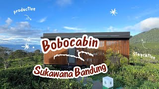 STAYCATION AKHIR TAHUN 2024 di BOBOCABIN SUKAWANA BANDUNG #glamping #bobocabin #staycationbandung