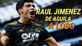 LAS MEJORES JUGADAS DE RAUL JIMENEZ - 2020 - HD