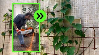 VLOGÃO DIY RAÍZ com tour pelas caçambas de SP | tesouro encontrado, suporte de plantas e mais