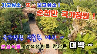 순천만 국가정원 식물원을 가다 #순천만국가정원 #순천만가볼만한곳 #순천만습지 #순천만 #순천#순천만국가정원박람회