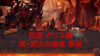 開眼 ガリユ編 真・黒炎の魔竜 撃破【アナザーエデン】