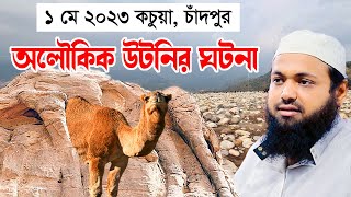 অলৌকিক উঠনির ঘটনা mufti arif bin habib মুফতি আরিফ বিন হাবিব নতুন ওয়াজ | new bangla waz download