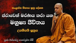 දිනෙන් දින මරණය කරා යන ජීවිතයේ අප්‍රමාදී වන්න....2025/01/02 සම්බුද්ධ පූජාව සහ භුත්තානුමෝදනා දේශනය