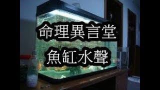 一分鐘命理：魚缸水聲