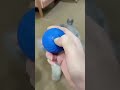 Brinquedo Pet Smartball Saltitante: Diversão e Exercício para Seu Pet! #pets #gatos #cachorro #gato