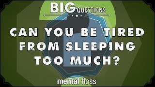 Can you be tired from sleeping too much? - Big Questions - (Ep. 45)