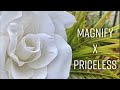 magnify x priceless the christian mixer