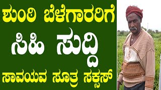 ಅತ್ಯುತ್ತಮ ಶುಂಠಿ ಇಳುವರಿಗೆ ಸುಲಭ ಸಾವಯವ ಸೂತ್ರ| Easy Organic Method for Best Ginger Yields