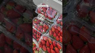 Exotic Premium Strawberry 🍓/#shorts #strawberry #strawberries #youtubeshorts #shortsfeed #viralvideo