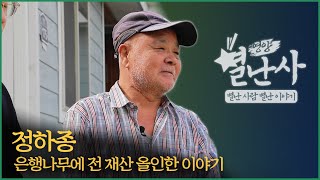 영양군 입암면 은행나무에 전재산 올인한 부부 이야기