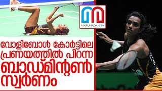 പിവി സിന്ധുവിന്റെ കിടിലന്‍ കഥ അറിയാം.. I pv sindhu