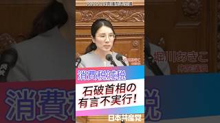 石破総理自身が「考え直す必要がある」と発言していた消費税。いまこそ議論すべきと石破総理にせまる堀川あきこ衆議院議員。