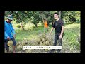 today s vlog i พาเที่ยวชมสวนผลไม้ บ้านสวนจันทบุรี แบบฉบับ ลูกชาวสวน ...