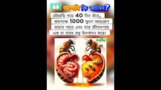 আপনি কি জানেন? মৌমাছির দুটি পেট আছে #প্রকৃতির_রং  #gk #healthyfood #মৌমাছি  #facts #bees #honey