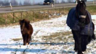 de paarden roepen!