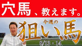 #関屋記念 含む全44頭の狙い馬、穴馬を紹介！8/13(土)14(日・#小倉記念 )出走分 ～激走レンジ！今週の注目馬 The Pick Up！～