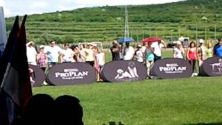 napoca dog show 5 iunie