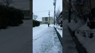 #shorts #雪 ＃大雪#雪遊び ＃自転車　【危険】何してんの？　マネしないでね！