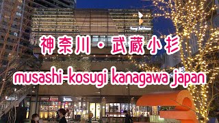 4K 武蔵小杉 夜景 散歩 Tokyo Cityscape Kanagawa Kawasaki Musashi-kosugi