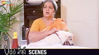 Rohini Hattangadi Playing with Dogs | Little Soldiers Telugu Movie Scenes | Baladitya | Brahmanandam