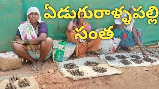 ఏడుగురాళ్ళపల్లి గిరిజన సంత || edugurallapalli tribal market