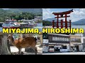 Miyajima Island | Hiroshima | Ailyn Wanders