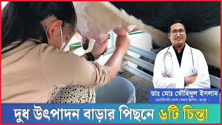 গাভীর দুধ উৎপাদন বাড়ার পিছনে ৬টি চিন্তা | ভালো দুধের গাভী | গরু পালন । Dr.Touhidul Islam