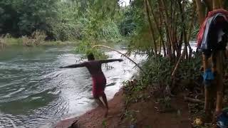 പുഴയിൽ കുളി എന്നൊക്കെ പറഞ്ഞാൽ ഇതായിരിക്കണം. ഏതാ ഒരു dive