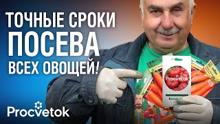 КОГДА СЕЯТЬ ОВОЩИ И ЗЕЛЕНЬ В 2025 ГОДУ? Агроном раскрыл точные сроки посева всех культур