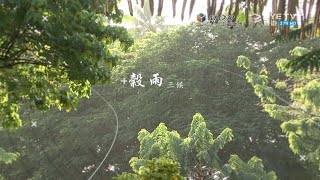 【EYE TV二十四節氣】七十二候-榖雨