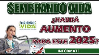 📢 Sembrando Vida  ¿Se ha confirmado un aumento en los próximos pagos  💵✅