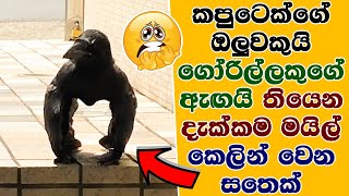 මේක පුදුම ලෝකයක් 🌎😲🔥 | meka puduma lokayak | ep: 27