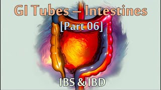IBS & Inflammatory Bowel Disease (IBD) [Recorded LIVE!] | Part 06 of 06