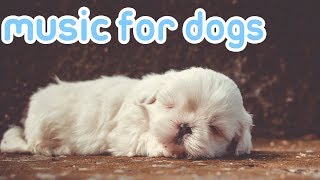 15 HOURS of Deep Sleep Relaxing Dog Music! NEW Helped 10 Million Dogs!