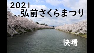 【快晴 満開】青森県　弘前市　2021 弘前さくらまつり