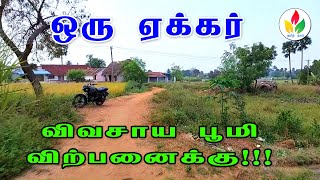 ஒரு ஏக்கர் தோட்டம் விற்பனைக்கு! | agri land for sale | farm land for sale in tamilnadu | thottam