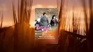 New Leaves (Inst.) - Unreleased Boys Over Flowers OST Instrumental