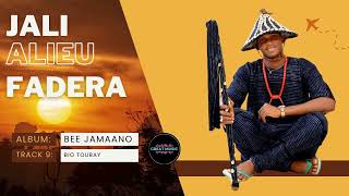 Jali Alieu Fadera - Bee Jamaano Album - Bio Touray