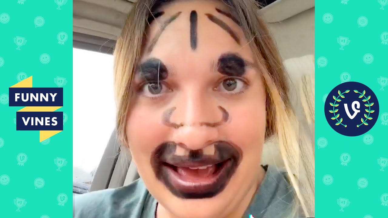 Funniest Best Vines Vine Fast Company