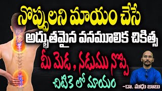 మీ మెడ , నడుము నొప్పి చిటికె లో  మాయం చేసే అద్భుతమైన వనమూలిక చికిత్స  |Dr.Madhu Babu Health Trends