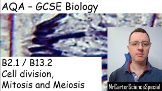 B2.1/B13.2 - Cell Division - Mitosis and Meiosis - AQA Biology 9-1 GCSE