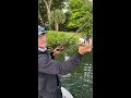 how to catch a fish shorts