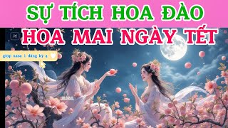 SỰ TÍCH HOA ĐÀO, HOA MAI NGÀY TẾT