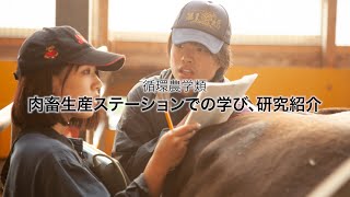 肉畜生産ステーションでの学び、研究紹介　｜　酪農学園大学　循環農学類　学類紹介