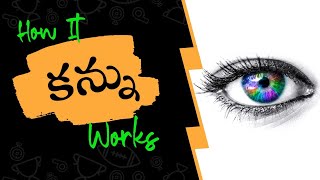 How it Works || Eye || Explained || కన్ను ఎలా పనిచేస్తుంది? || Tinkit