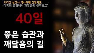 [지리산 실상사 약사여래 천일기도] 40일차입니다. '좋은 습관과 깨달음의 길'