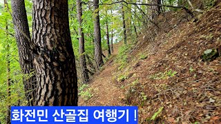 첩첩산 화전민 살다떠난 우물터 여기저기 구경하다 하산중 짐승안광 무서워도 알밤줍기 ᆢ