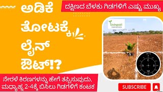 ಅಡಿಕೆ ತೋಟಕ್ಕೆ ಲೈನ್ ಔಟ್!? Mark Out / Line Out for Arecanut Plantation !?