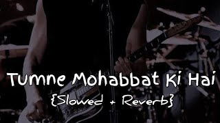 Tumne Mohabbat Ki Hai | Slowed Reverb | Arijit Singh | Lofi Planet 2 M